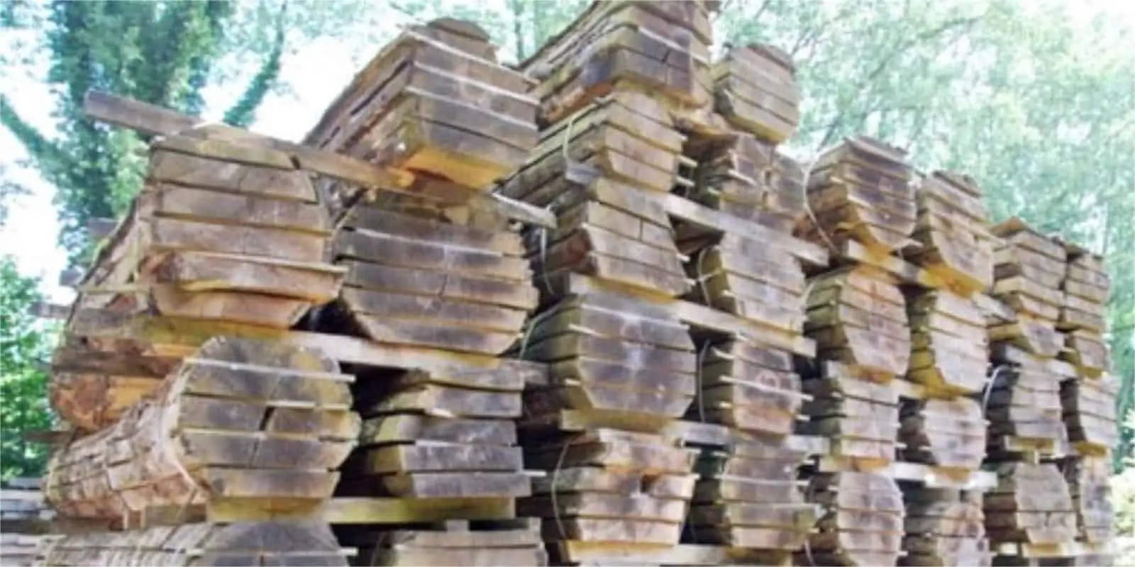 air dried oak