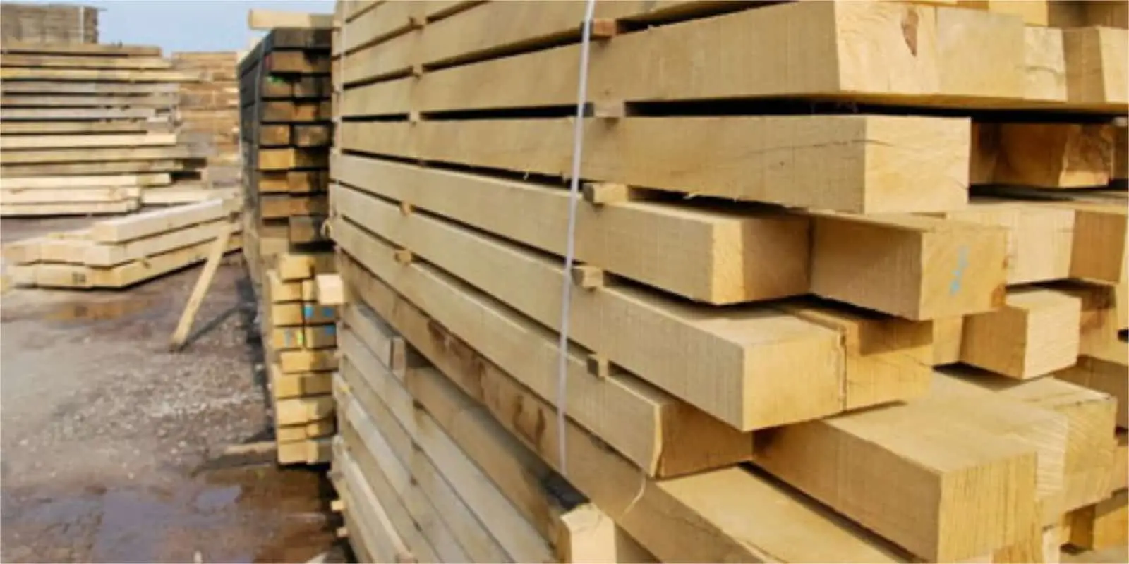 green oak