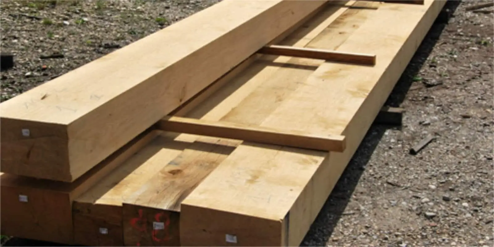 Green oak beams