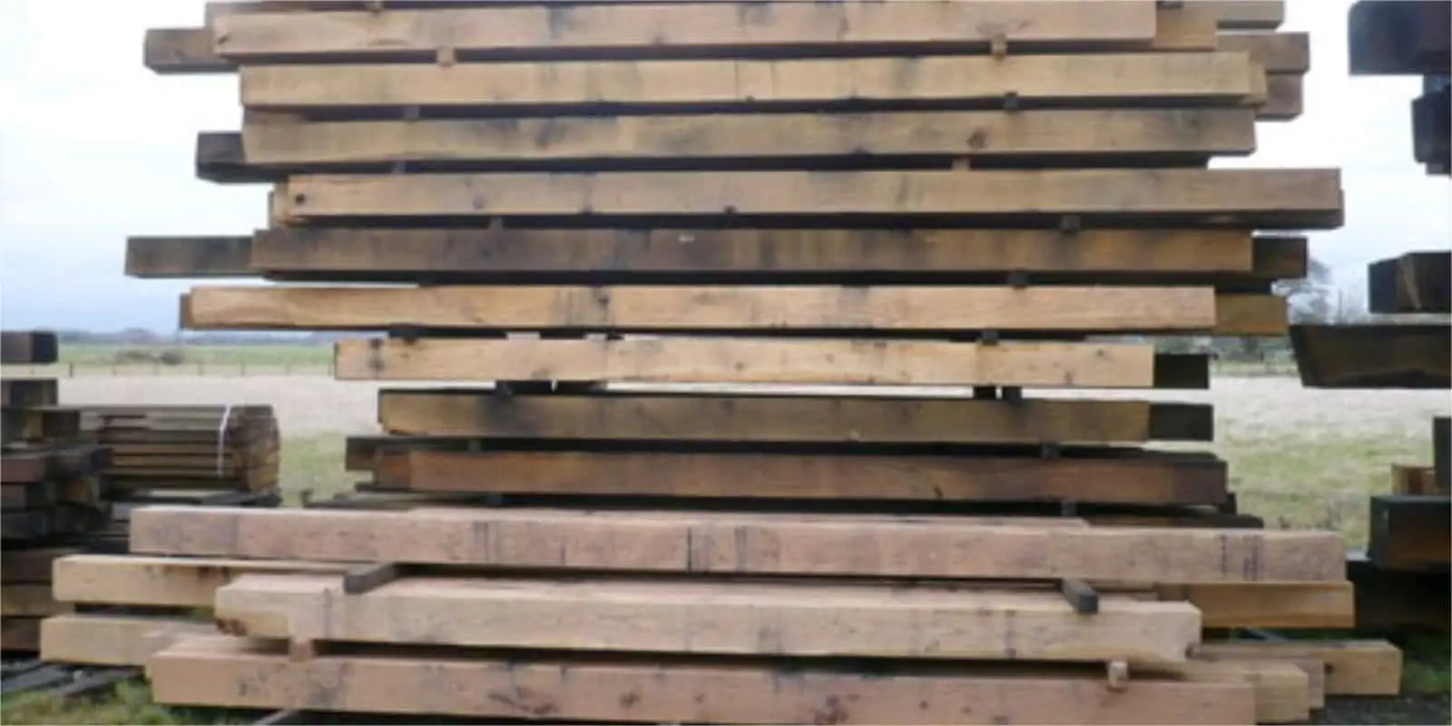 green oak